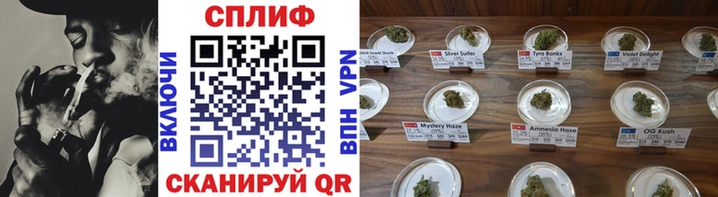 Где можно купить наркотики Заозёрск ГАШ  МАРИХУАНА  СОЛЬ  АМФ  Меф 
